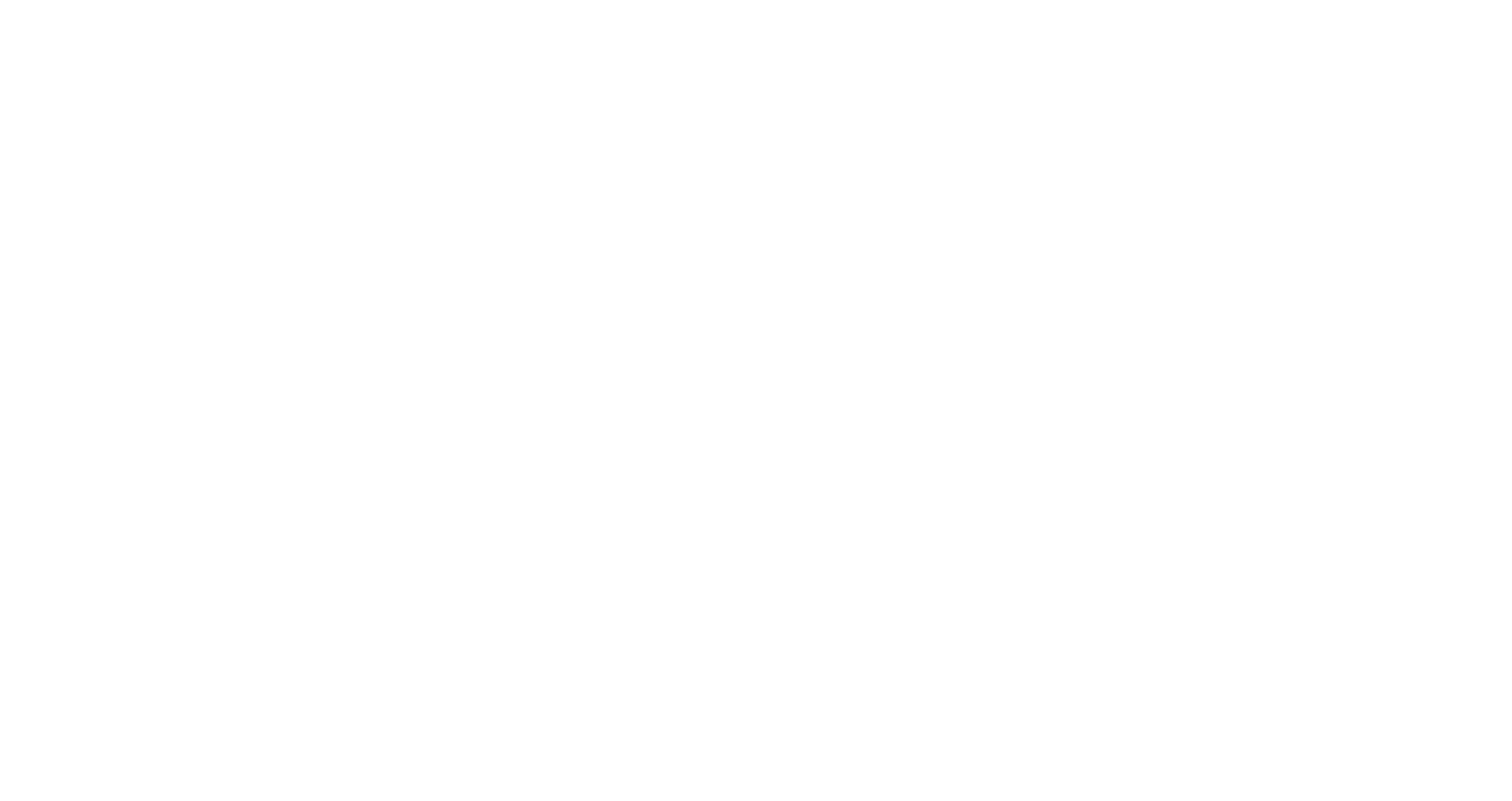 智爪